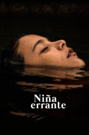 Wandering Girl 2018 on netflix