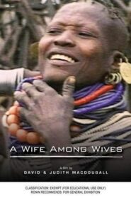 A Wife Among Wives 1981 on netflix