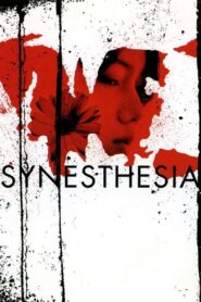Synesthesia 2005 on netflix