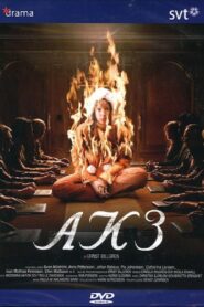 AK3 – Dolda beslut 2006 on netflix