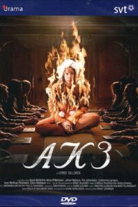 AK3 – Dolda beslut 2006 on netflix
