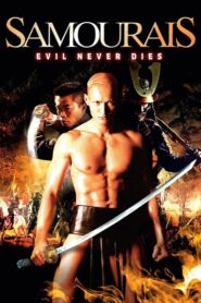 Samouraïs 2002 on netflix