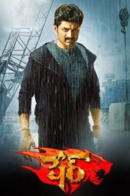 Sher 2015 on netflix