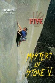 Masters of Stone V 2000 on netflix