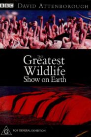 The Greatest Wildlife Show on Earth 1999 on netflix