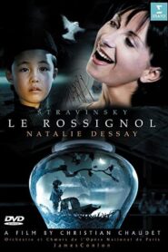 Le Rossignol 2005 on netflix