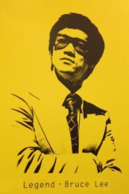 The Brilliant Life of Bruce Lee 2009 on netflix