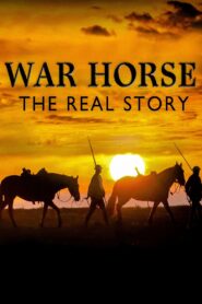 War Horse: The Real Story 2012 on netflix