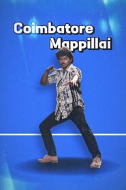 Coimbatore Mappillai 1996 on netflix