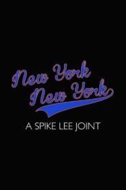 New York New York 2020 on netflix