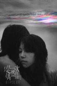 Bipolar 2021 on netflix