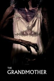 The Grandmother 2022 on netflix
