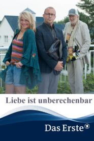 Liebe ist unberechenbar 2021 on netflix