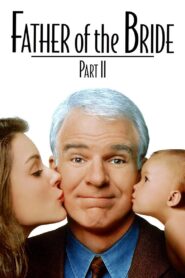 Father of the Bride Part II 1995 on netflix