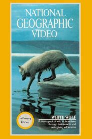 National Geographic: White Wolf 1988 on netflix