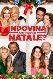 Indovina chi viene a Natale? 2013 on netflix