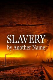 Slavery by Another Name 2012 on netflix