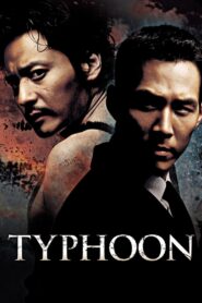 Typhoon 2005 on netflix
