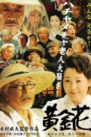 Golden Flower: What Is Hidden Is the True Flower, What Is Gone Is the Butterfly 2009 on netflix