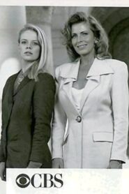 Bar Girls 1990 on netflix