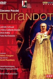 Turandot 2002 on netflix