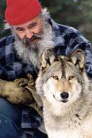 Il parle avec les loups 2001 on netflix