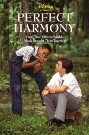 Perfect Harmony 1991 on netflix