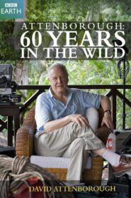 Attenborough: 60 Years in the Wild 2012 on netflix