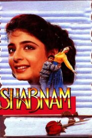 Shabnam 1993 on netflix