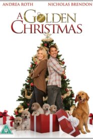 A Golden Christmas 2009 on netflix