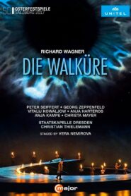 Wagner: Die Walküre 2017 on netflix