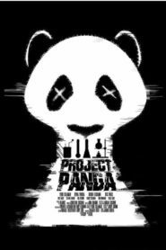 Project Panda 2022 on netflix