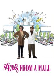 Scenes from a Mall 1991 on netflix