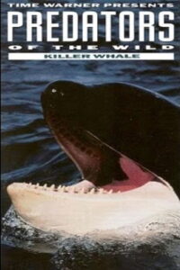 Predators of the Wild: Killer Whale 1992 on netflix