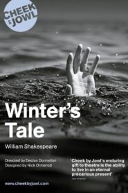 Cheek by Jowl: The Winter’s Tale 2017 on netflix