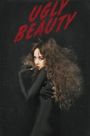 蔡依林UglyBeauty世界巡回演唱会 2024 on netflix