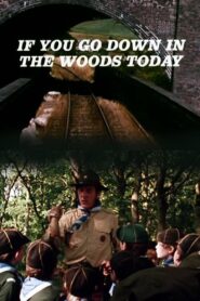 If You Go Down in the Woods Today 1981 on netflix