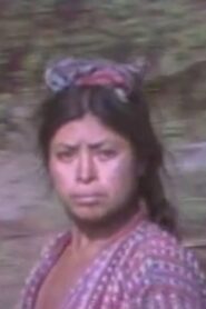Meta Mayan 1981 on netflix
