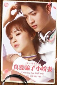 真爱骗子小娇妻 2017 on netflix