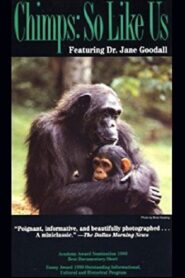 Chimps: So Like Us 1990 on netflix