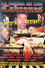 Violencia en las calles 2004 on netflix