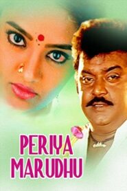 Periya Marudhu 1994 on netflix