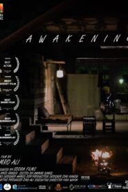 Awakening 2018 on netflix