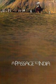 A Passage to India 1984 on netflix