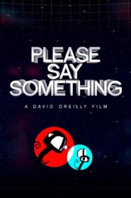 Please Say Something 2008 on netflix
