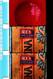 Mesures de miel et de lait sauvage 1984 on netflix