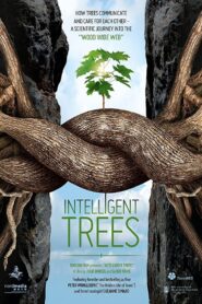 Intelligent Trees 2017 on netflix