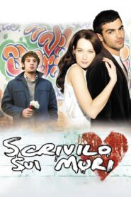 Write It on the Walls 2007 on netflix