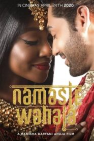 Namaste Wahala 2020 on netflix