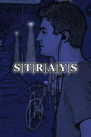 S|T|R|A|Y|S 2017 on netflix